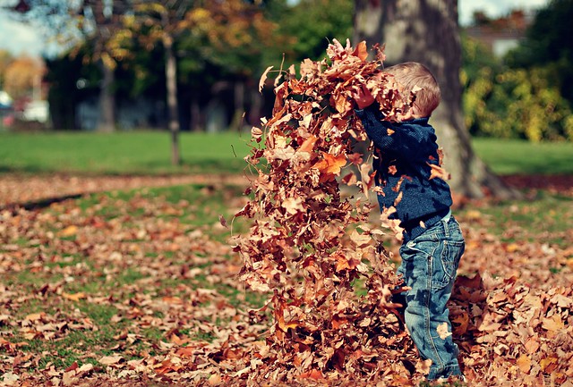 Otoño divertido