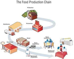 Cadena de producción de los alimentos