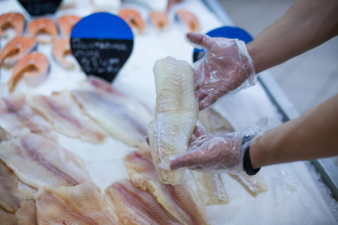 Manos con guantes con un filete de pescado sobre hielo en un mercado.
