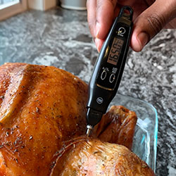 termómetro para alimentos en pollo asado