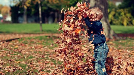 Fun Fall
