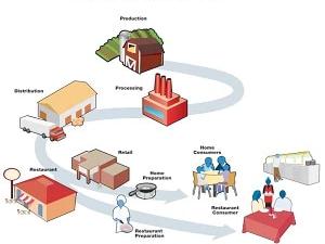 The Food Production Chain