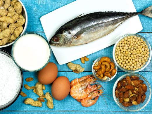 Major food allergens include milk, eggs, peanuts, fish, shellfish, wheat, soybeans and tree nuts on blue rustic wooden table, top view.