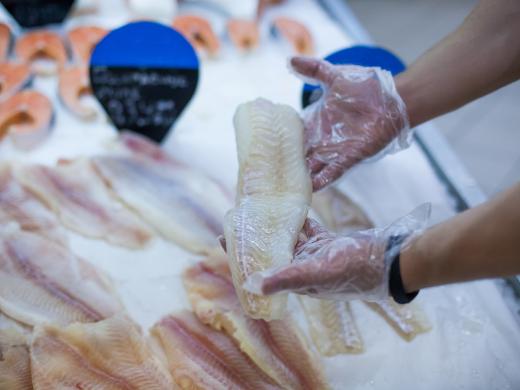 Gloved hands display a fish filet over ice at a market.