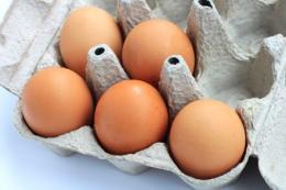 Salmonella and Eggs