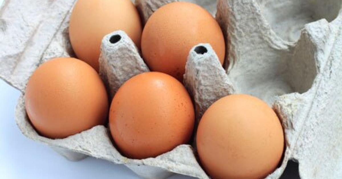 La salmonela y los huevos FoodSafety.gov