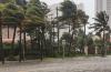 Tormenta de viento